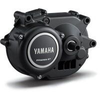Pohon Yamaha PW-ST