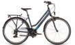 Bicykel Dema Arosa 2 Lady sivý 2022