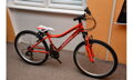 Bicykel Harry Jetty SF 24 červený