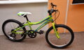 Bicykel Harry Corky 20 zelený
