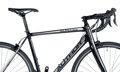 Bicykel Author Aura 33 2019