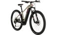 Elektro bicykel Cube Access Hybrid EX 500 titan 2020