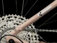 Elektro bicykel Cube Reaction Hybrid Pro 750 blushrose-silver 2024