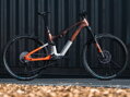 Elektro bicykel Haibike Lyke CF 10 2024