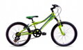 Bicykel Harry Corky SF 20 zelený