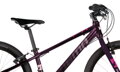 Bicykel Dema Roxie 24 bordo 2021