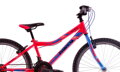 Bicykel Harry Xenix 24 ružový