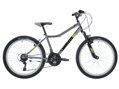 Bicykel Kenzel Roxis SF 24 chromo-green