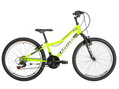 Bicykel Kenzel Roxis SF 24 green