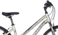 Bicykel Author Thema piesková 2017