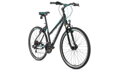 Bicykel Leader Fox Away Lady sivý 2019