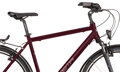 Bicykel Dema Arosa 1 hnedý 2022