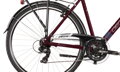 Bicykel Dema Arosa 1 hnedý 2022