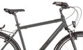Bicykel Dema Arosa 2 sivý 2022