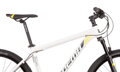 Bicykel Dema Pegas 7.0 svetlo-šedý 2020