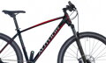 Bicykel Author Context 29 2019