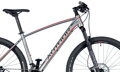 Bicykel Author Radius 29 2019