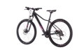 Bicykel Cube Access WS iridium 2019