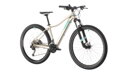 Bicykel Cube Access WS Pro titan 2020