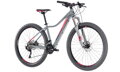Bicykel Cube Access WS Race grey 2018
