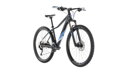 Bicykel Cube Access WS Race iridium 2019