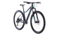 Bicykel Cube Access WS SL iridium 2020