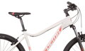 Bicykel Dema Tigra 3.0 svetlo-šedý 2020