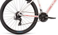 Bicykel Dema Tigra 3.0 svetlo-šedý 2020