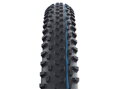 Plášť Schwalbe 29x2,25 Racing Ray  Evolution TLE Transparent Speed