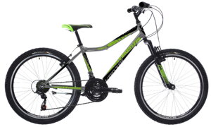 Bicykel Kenzel Roxis SF 24 metallic-green