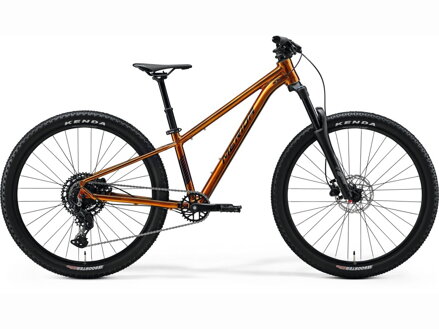 Bicykel Merida Matts J.Champion tmavý med 2026