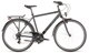 Bicykel Dema Arosa 2 sivý 2022