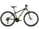 Bicykel Dema Pegas 1 grey-lime 2022