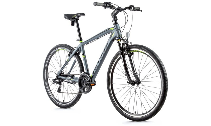 Bicykel Leader Fox Away šedý-zelený 2021