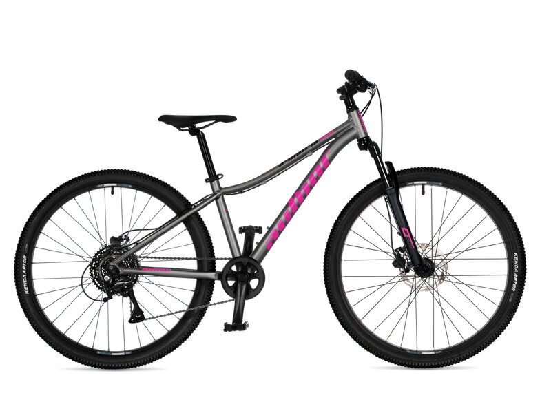 Bicykel Author A-Matrix 26 Disc strieborný 2026