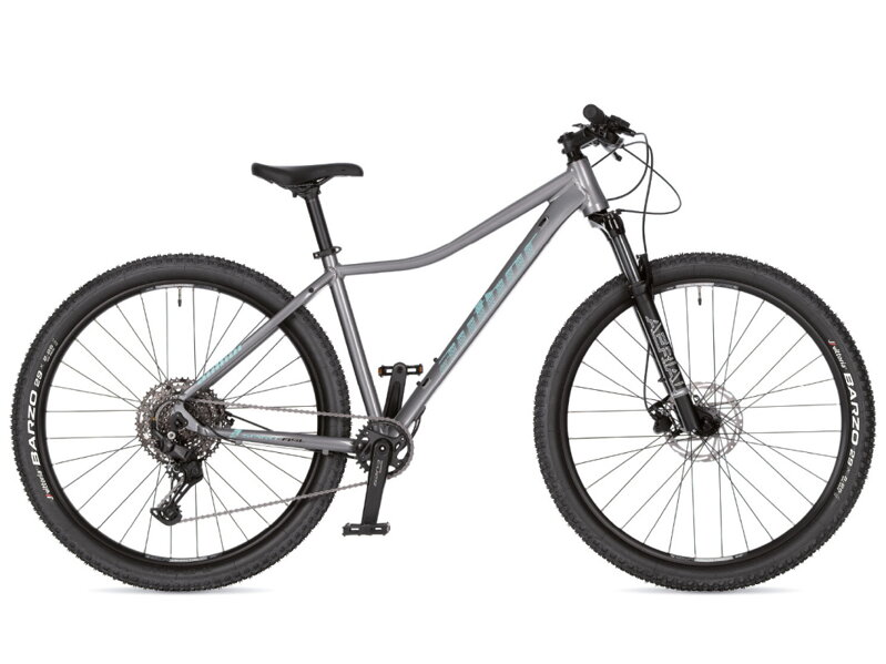 Bicykel Author Spirit ASL 29 strieborný 2026